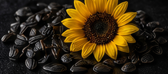 Tocopherol (Vitamin E)