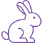 CRUELTY FREE
